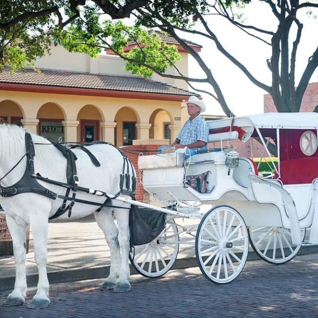 a man riding a horse drawn carriage in front of a building