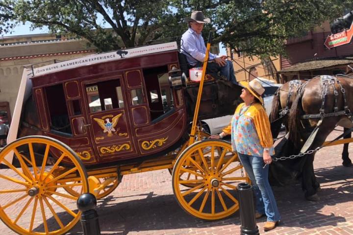 a man riding a horse drawn carriage