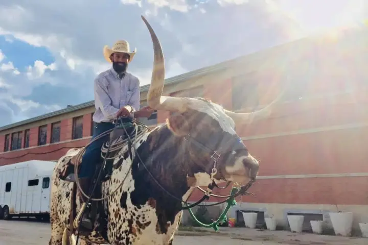 a man standing next to a cow