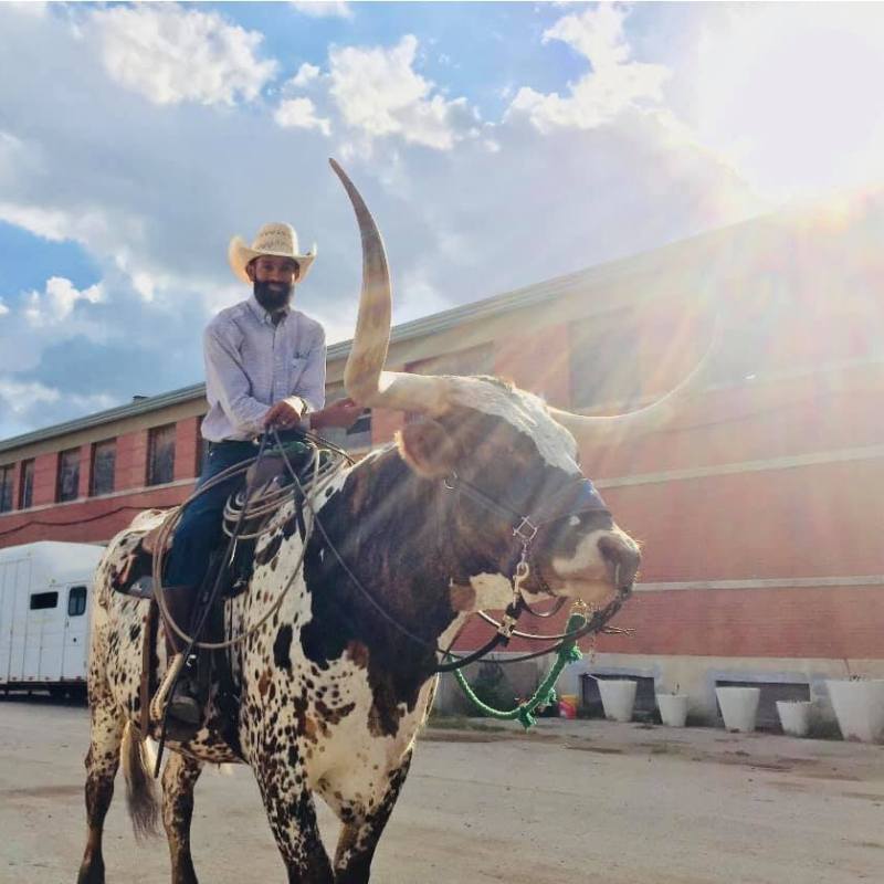 a man standing next to a cow