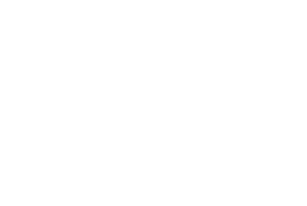 Ft. Worth Stockyard Stables