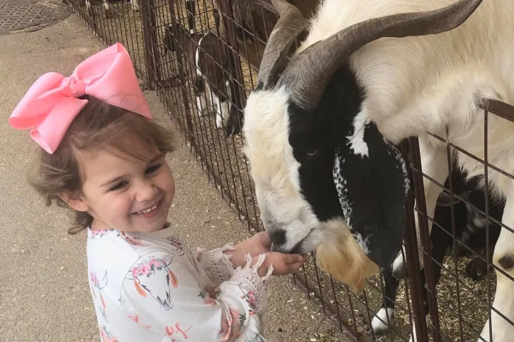 a small child is petting a sheep