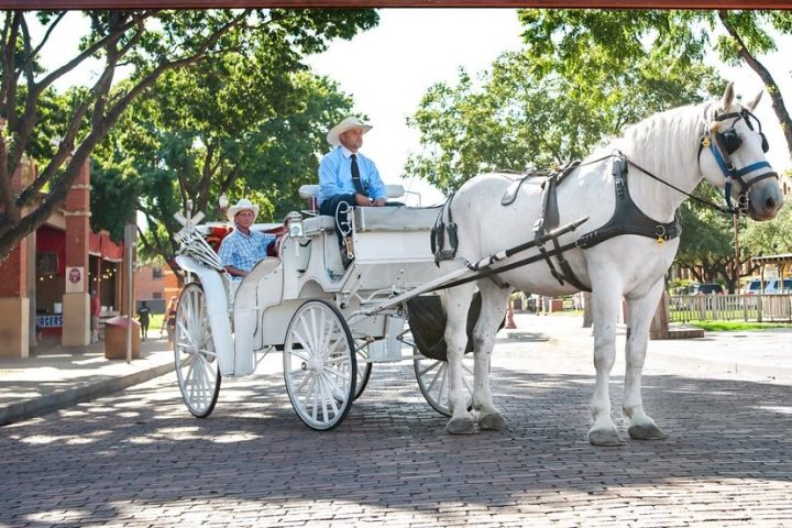 a man riding a horse drawn carriage on a city street