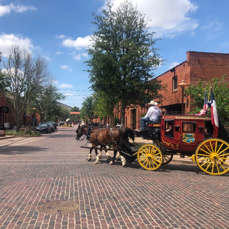 a close up of a horse drawn carriage on the side of a road