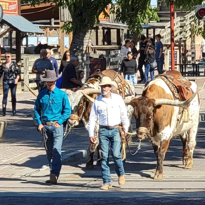 a group of people walking down a street next to a horse